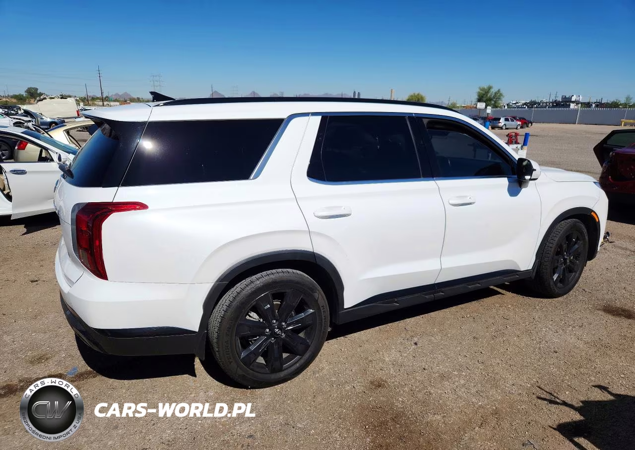 2024 Hyundai Palisade Xrt VIN:KM8R34GE6RU689373 - 3