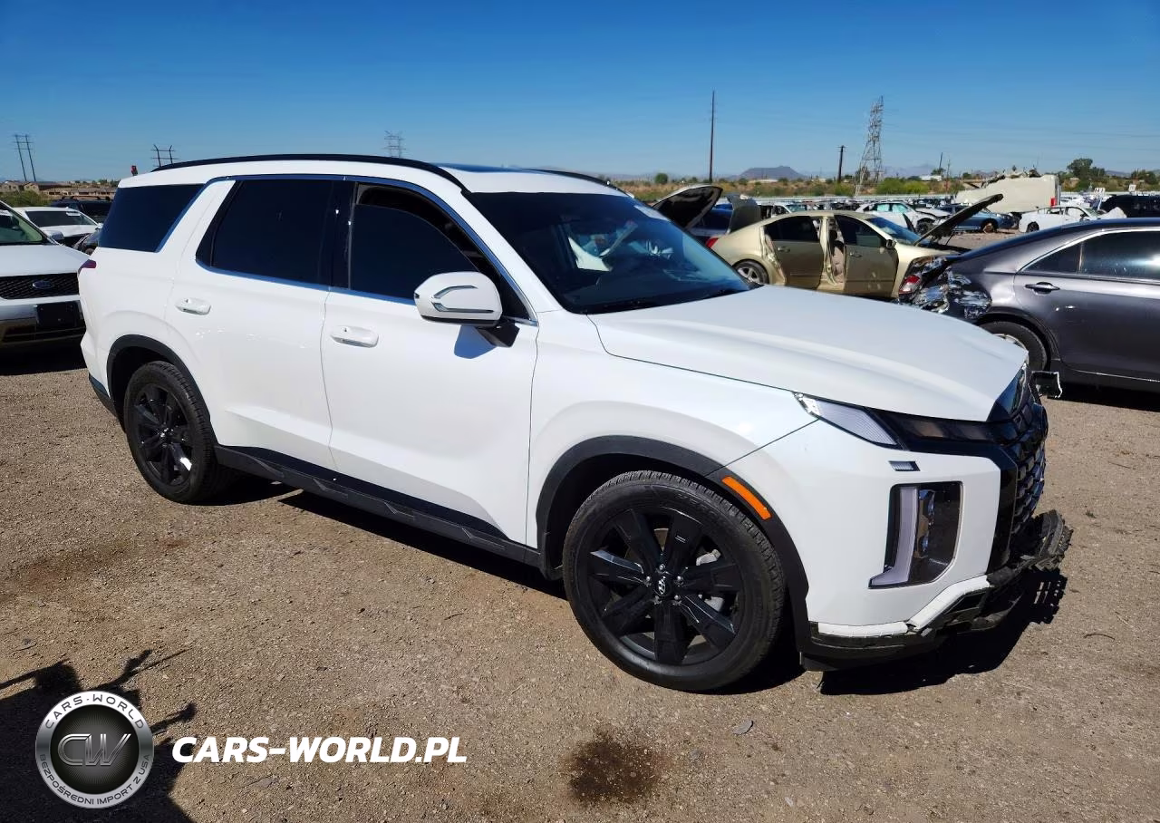 2024 Hyundai Palisade Xrt VIN:KM8R34GE6RU689373 - 4