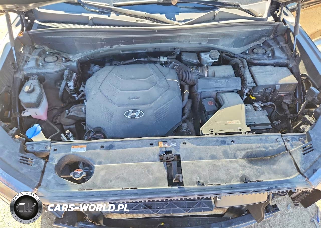 2021 Hyundai Palisade Limited VIN:KM8R5DHE0MU214450 - 12