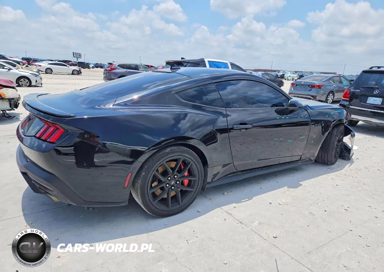 2024 Ford Mustang Gt VIN:1FA6P8CF4R5431015 - 3