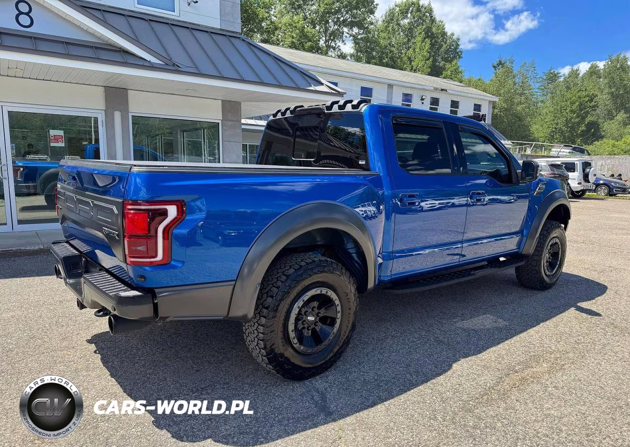 2018 Ford F150 Raptor VIN:1FTFW1RG6JFD78398 - 4