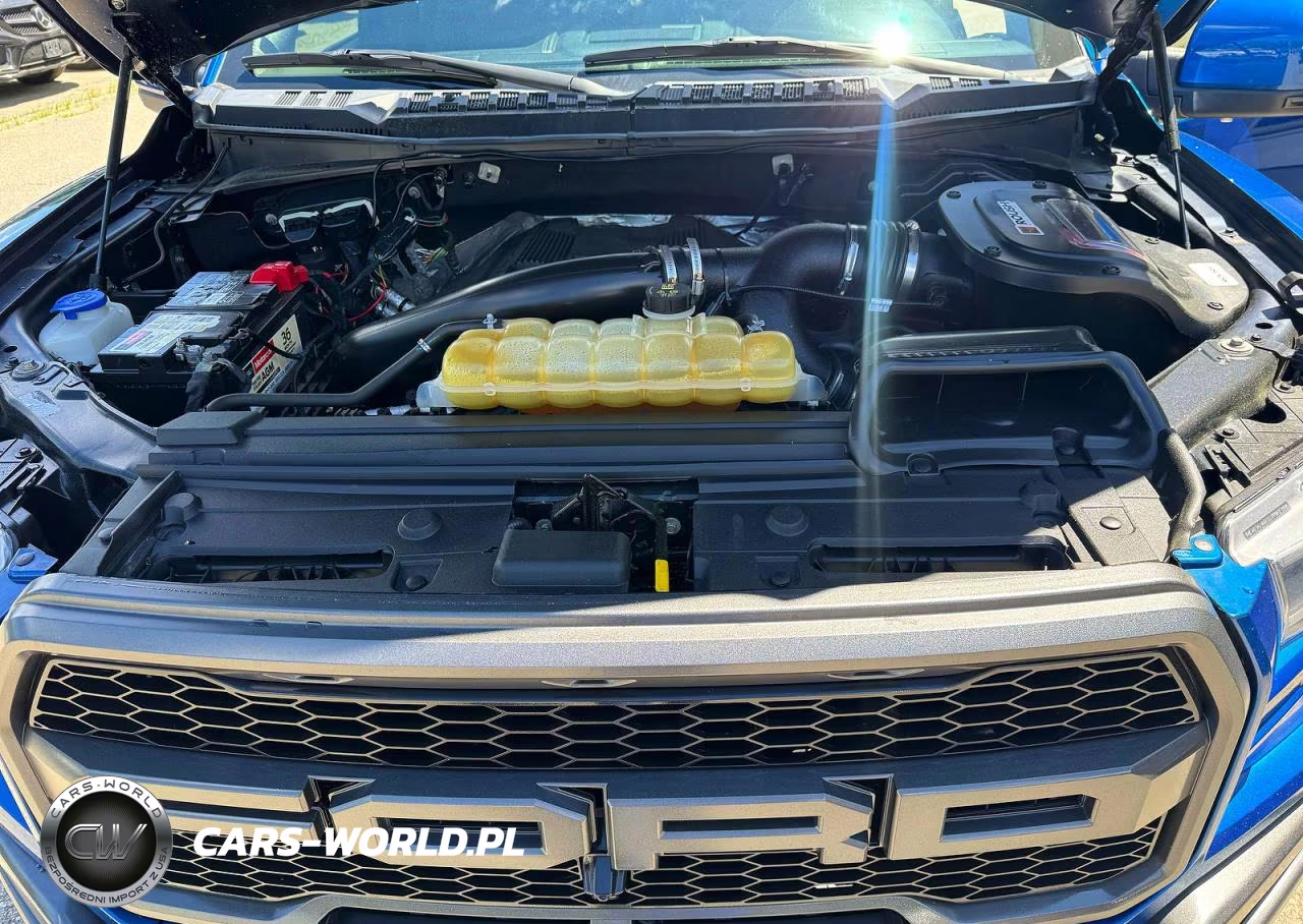 2018 Ford F150 Raptor VIN:1FTFW1RG6JFD78398 - 7
