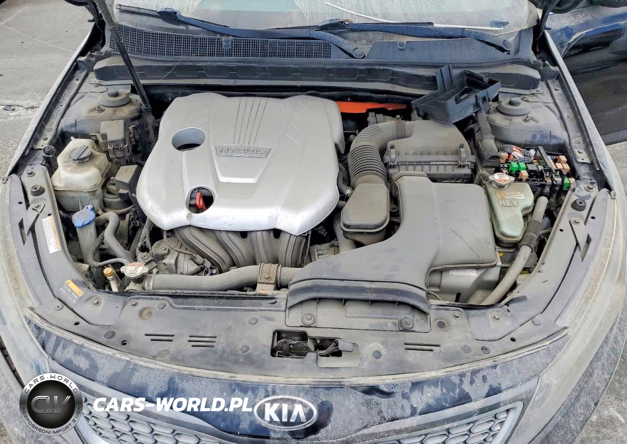 2016 Kia Optima Hybrid VIN:KNAGN4AD5G5098977 - 11