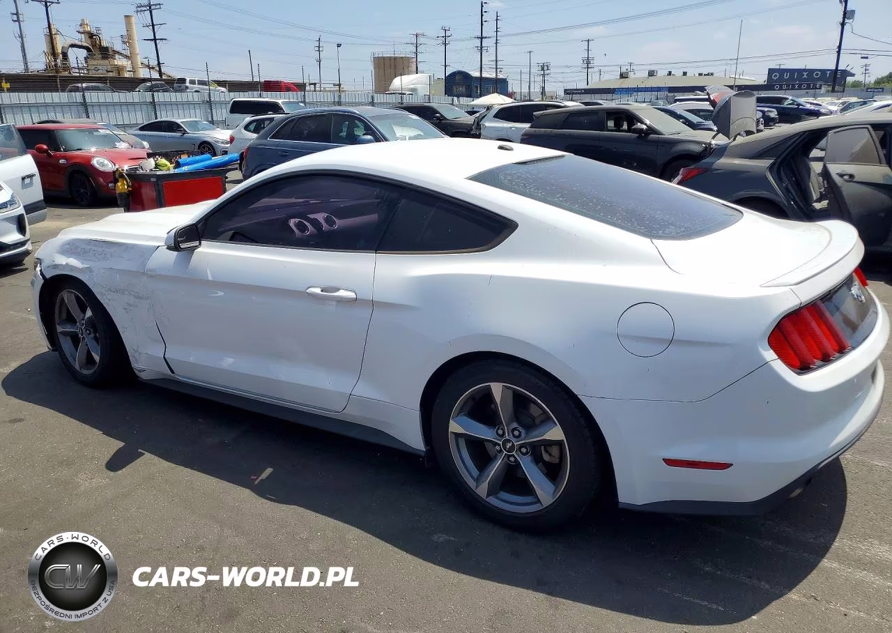 2016 Ford Mustang VIN:1FA6P8TH1G5317729 - 2