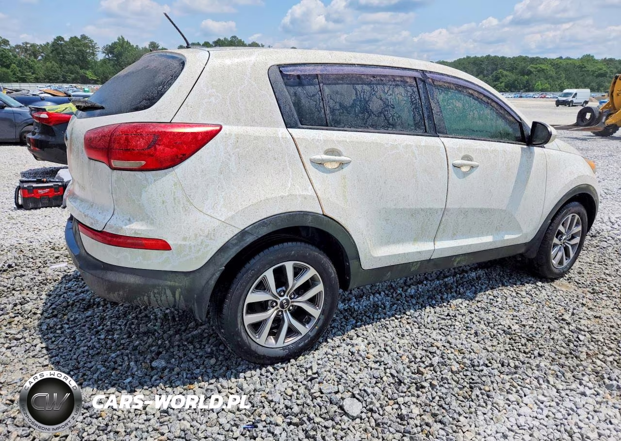 2015 Kia Sportage Lx VIN:KNDPB3AC5F7691075 - 3