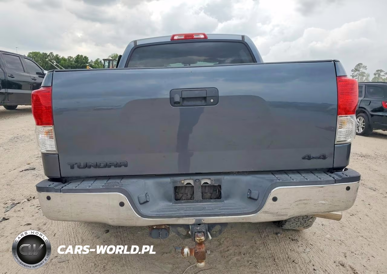 2010 Toyota Tundra Crewmax Limited VIN:5TFHW5F19AX135940 - 6