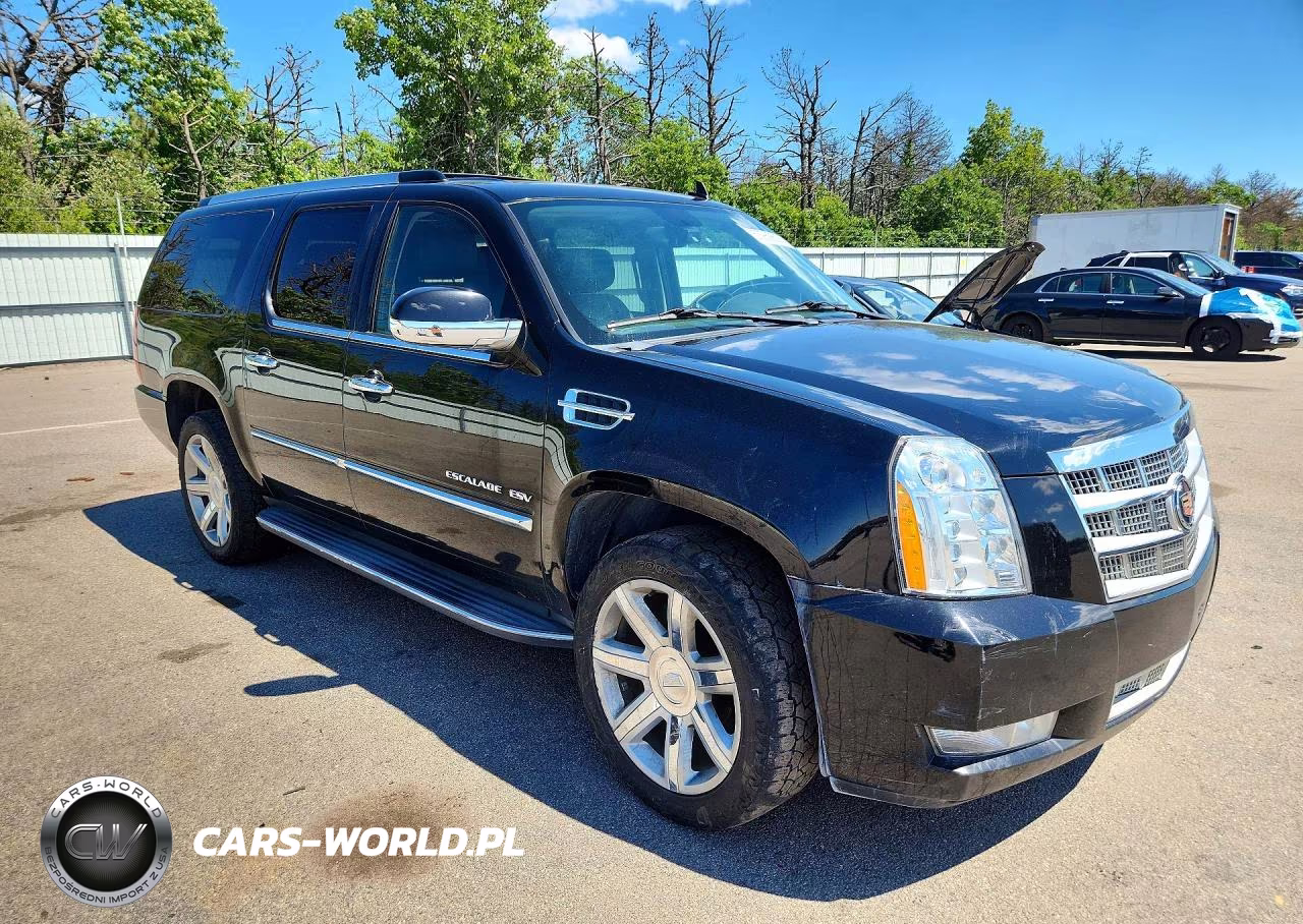 2014 Cadillac Escalade Esv Platinum VIN:1GYS4KEF6ER139102 - 4