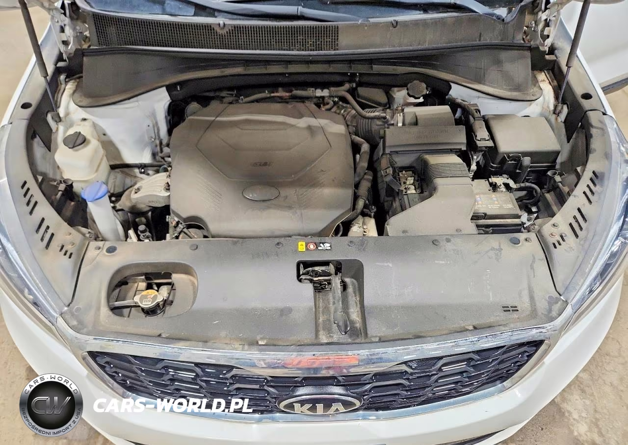 2019 Kia Sorento VIN:5XYPGDA55KG503466 - 12