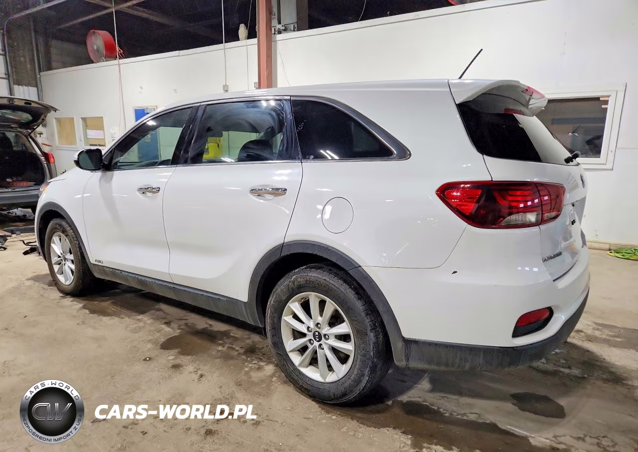 2019 Kia Sorento VIN:5XYPGDA55KG503466 - 2