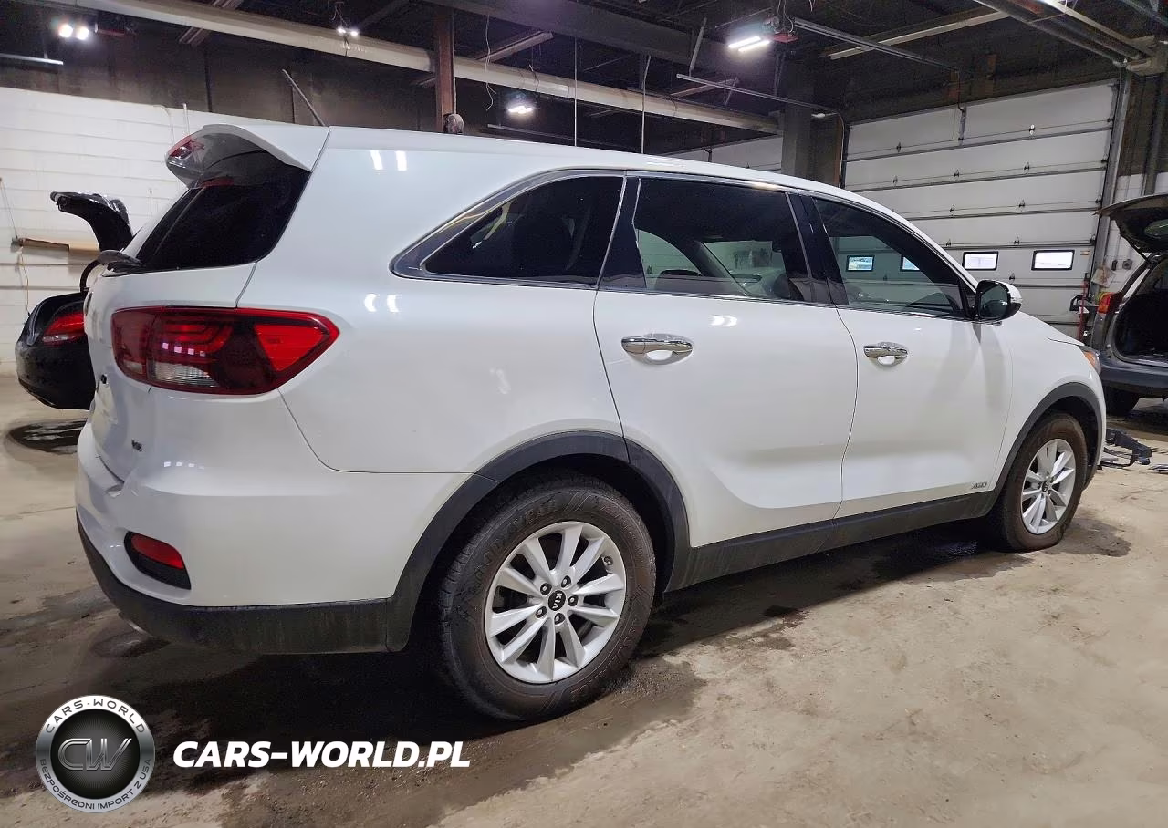 2019 Kia Sorento VIN:5XYPGDA55KG503466 - 3