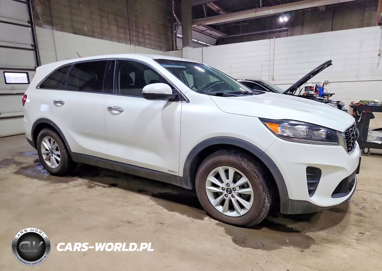 2019 Kia Sorento VIN:5XYPGDA55KG503466 - 4