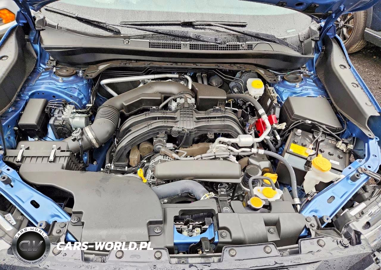 2025 Subaru Forester VIN:JF2SLDAC5SH587916 - 12