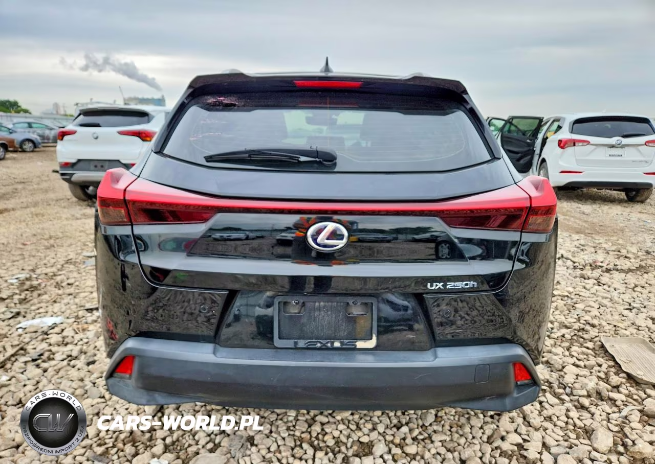 2020 Lexus Ux 250H VIN:JTHP9JBH1L2033576 - 6