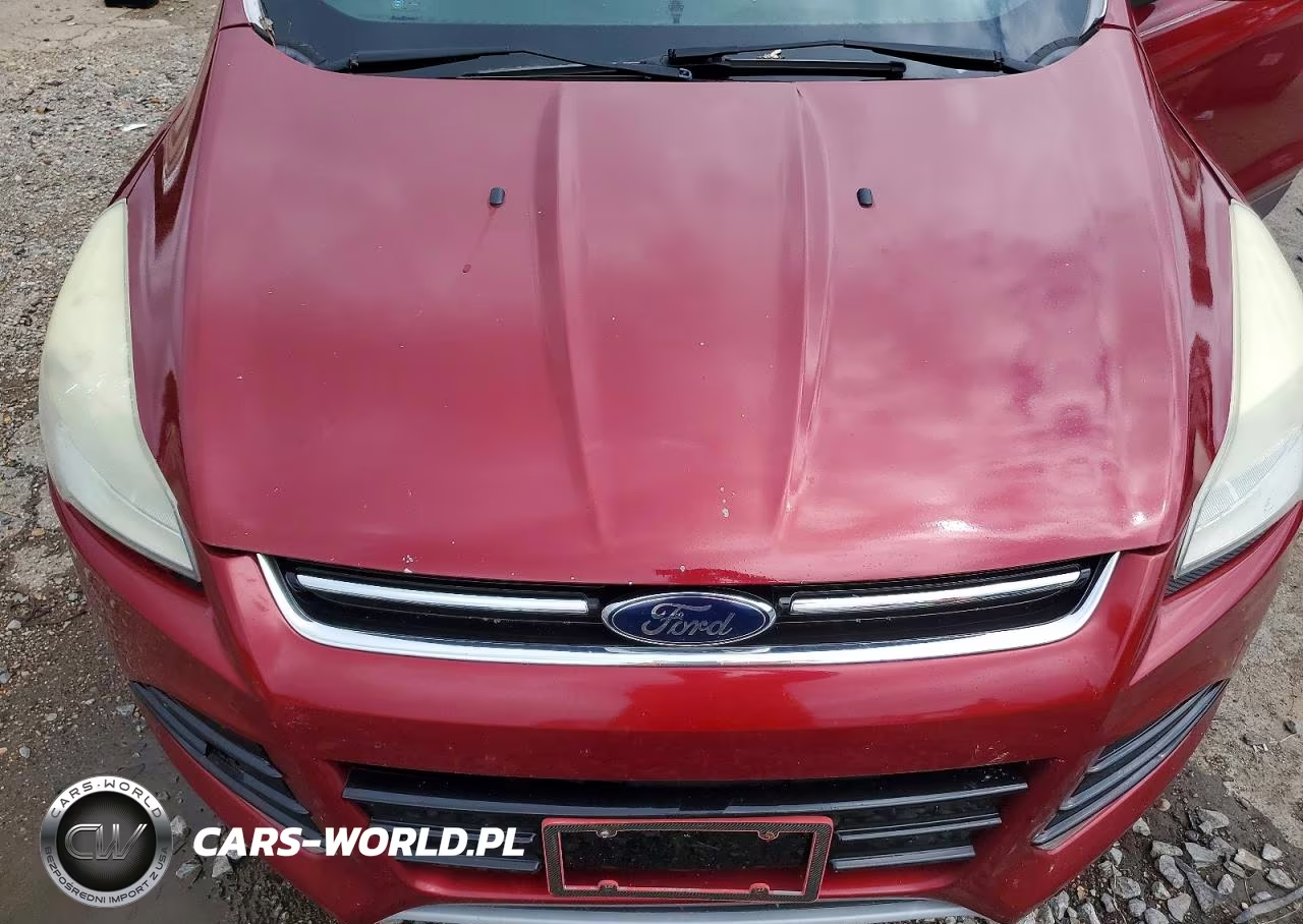 2013 Ford Escape Sel VIN:1FMCU0HXXDUB06680 - 11