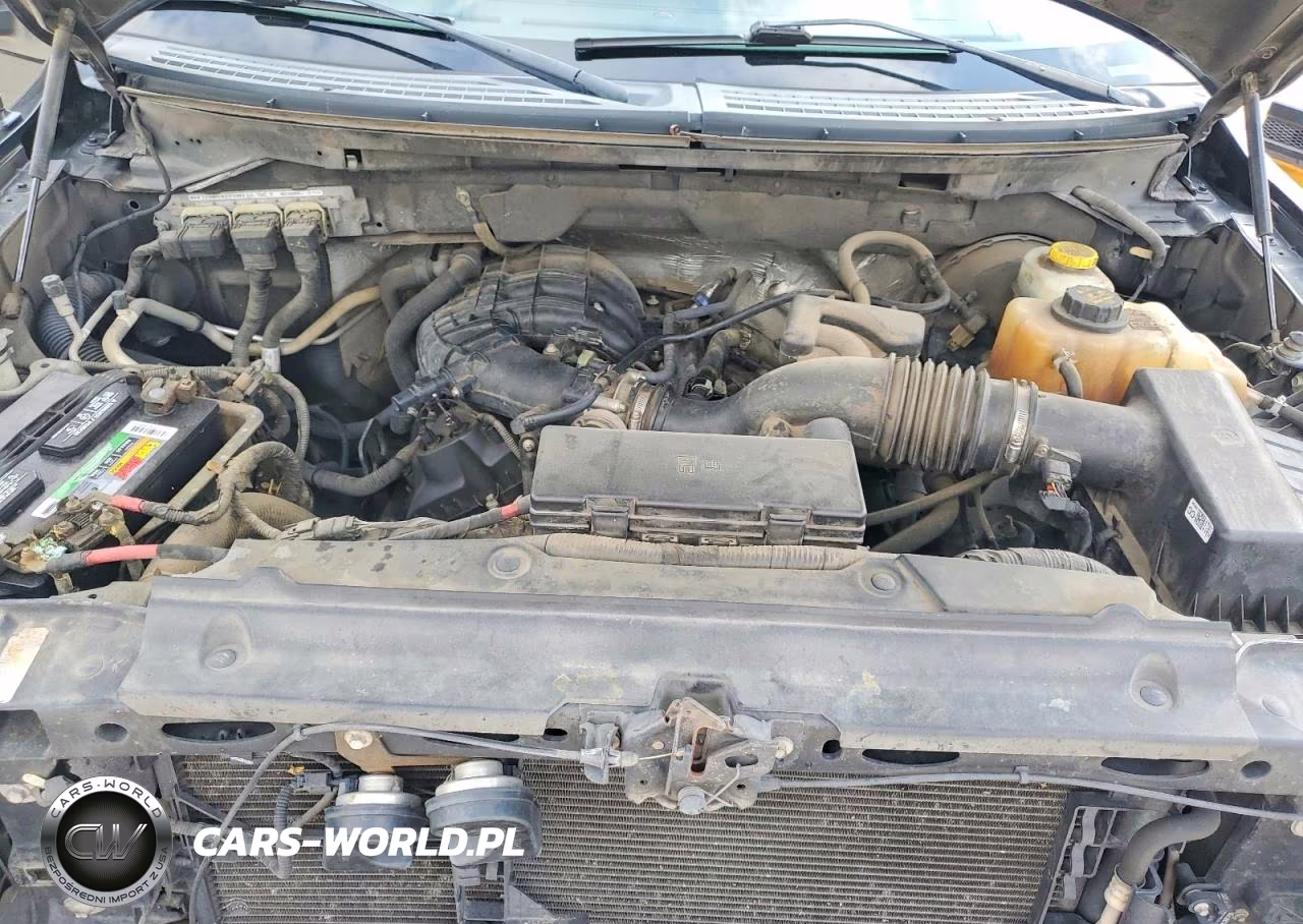 2014 Ford F150 Supercrew VIN:1FTEW1CM0EKE52471 - 11