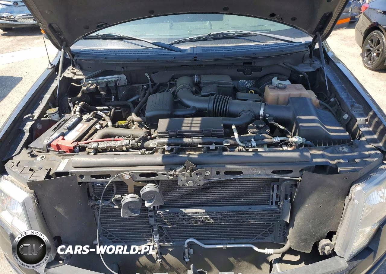 2010 Ford F150 Supercrew VIN:1FTFW1CV8AKC20272 - 11