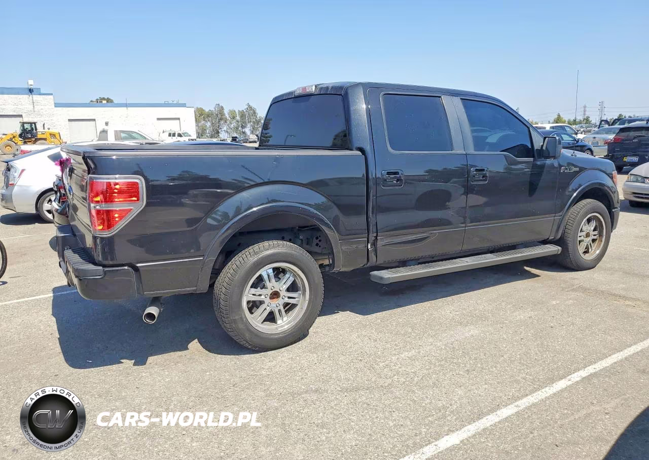 2010 Ford F150 Supercrew VIN:1FTFW1CV8AKC20272 - 3