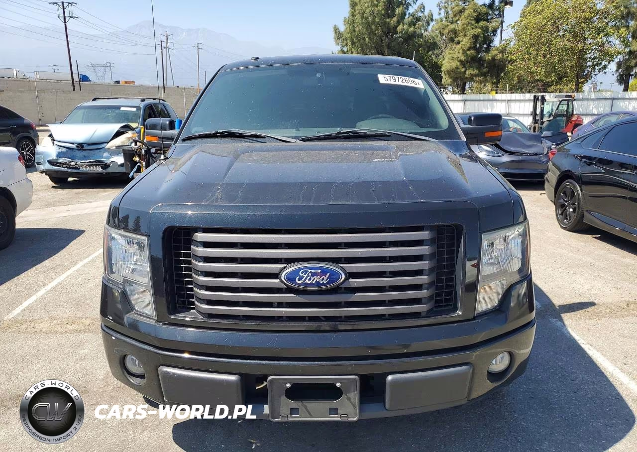 2010 Ford F150 Supercrew VIN:1FTFW1CV8AKC20272 - 5
