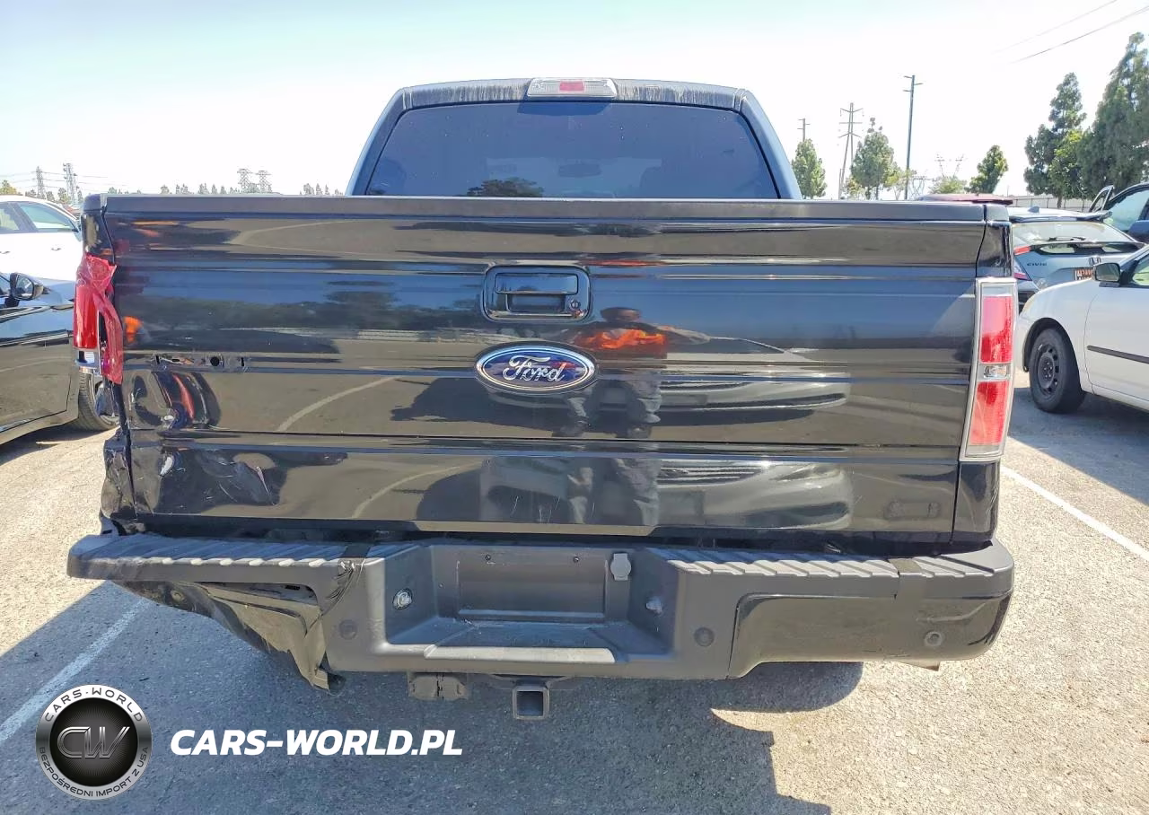 2010 Ford F150 Supercrew VIN:1FTFW1CV8AKC20272 - 6