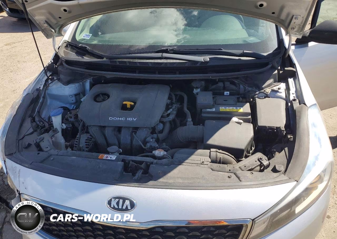 2017 Kia Forte Lx VIN:3KPFK4A74HE029365 - 11