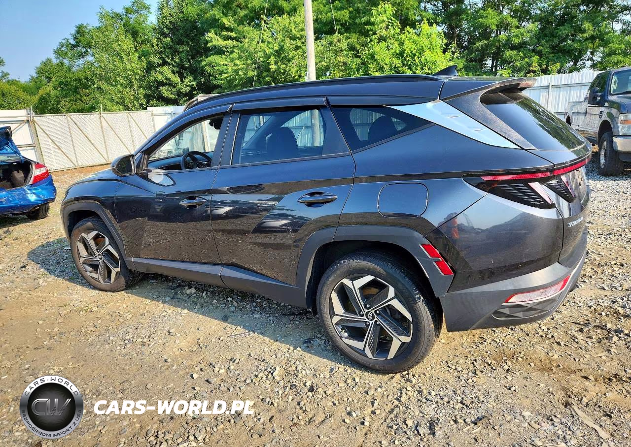 2023 Hyundai Tucson Sel VIN:5NMJFCAE3PH202761 - 2