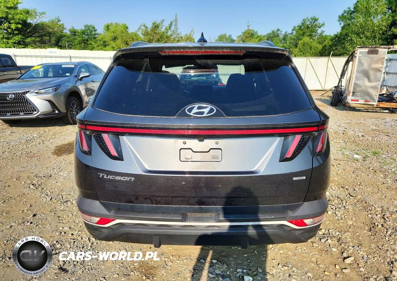 2023 Hyundai Tucson Sel VIN:5NMJFCAE3PH202761 - 6
