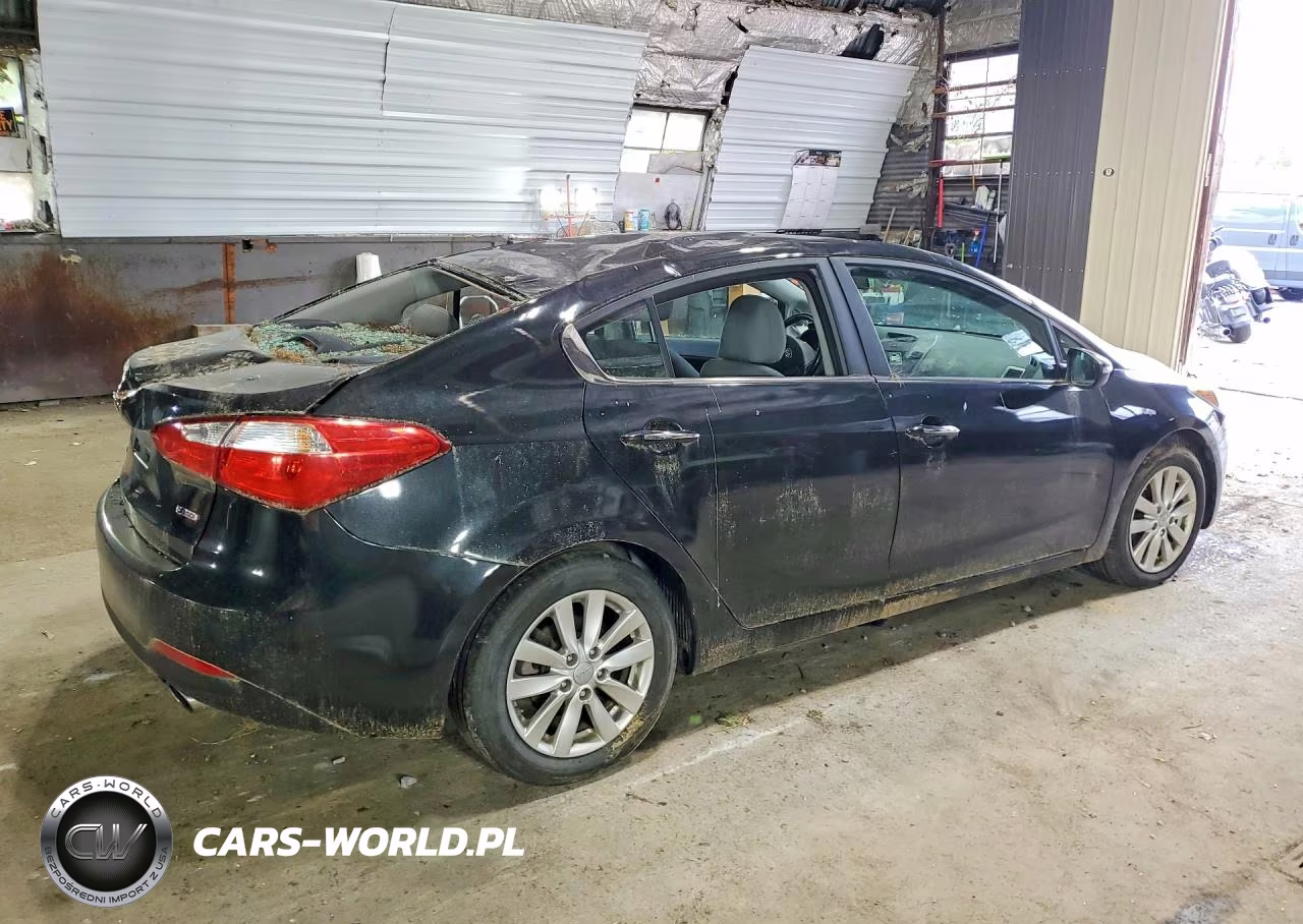 2014 Kia Forte Ex VIN:KNAFX4A89E5200979 - 3