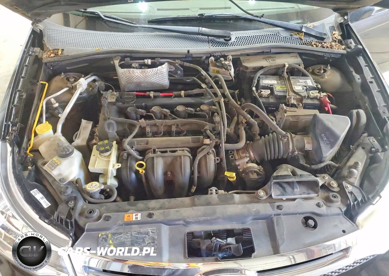 2011 Ford Focus Sel VIN:1FAHP3HN3BW126049 - 11