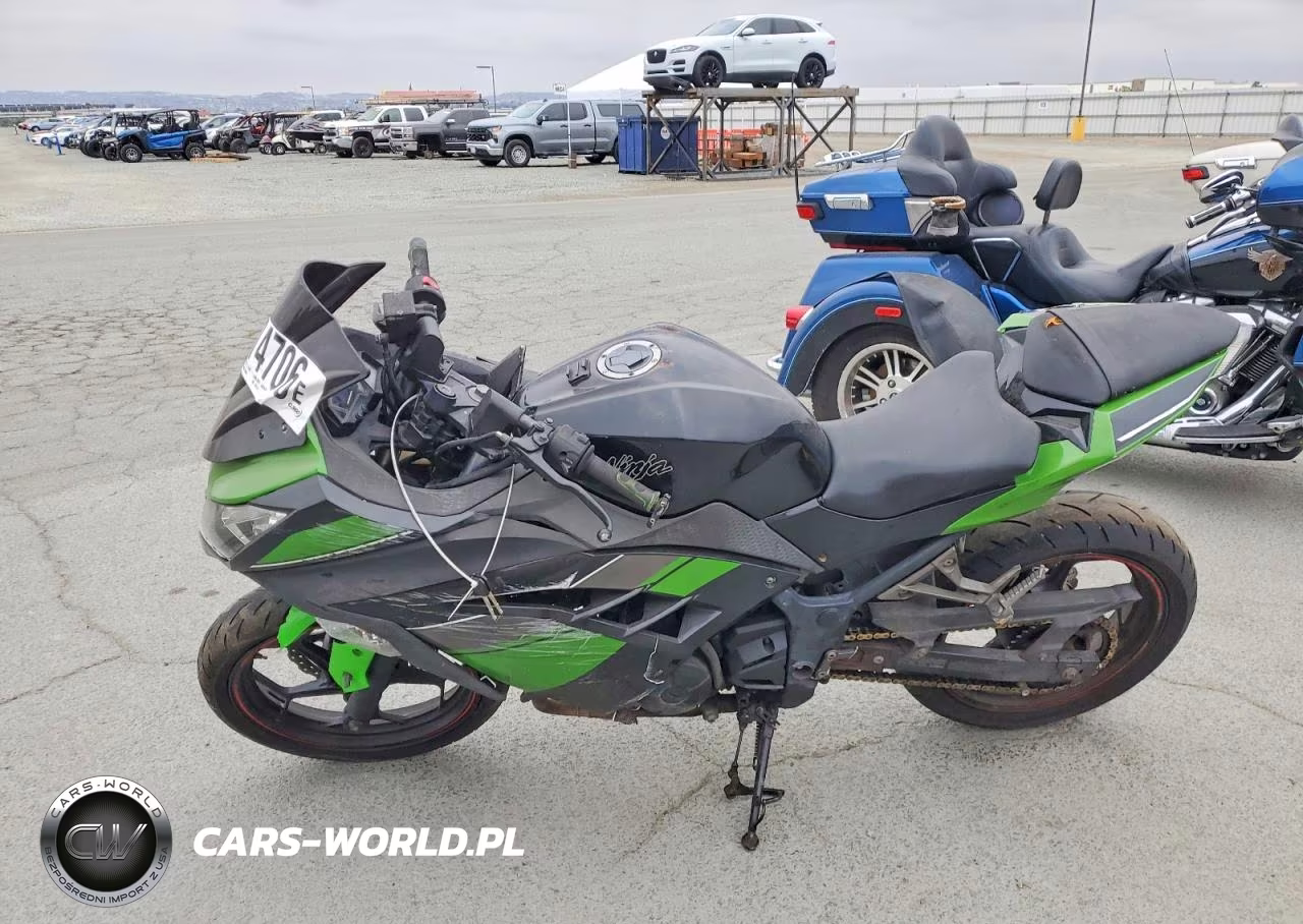 2014 Kawasaki Ex300 B VIN:JKAEX8B19EDA07578 - 3