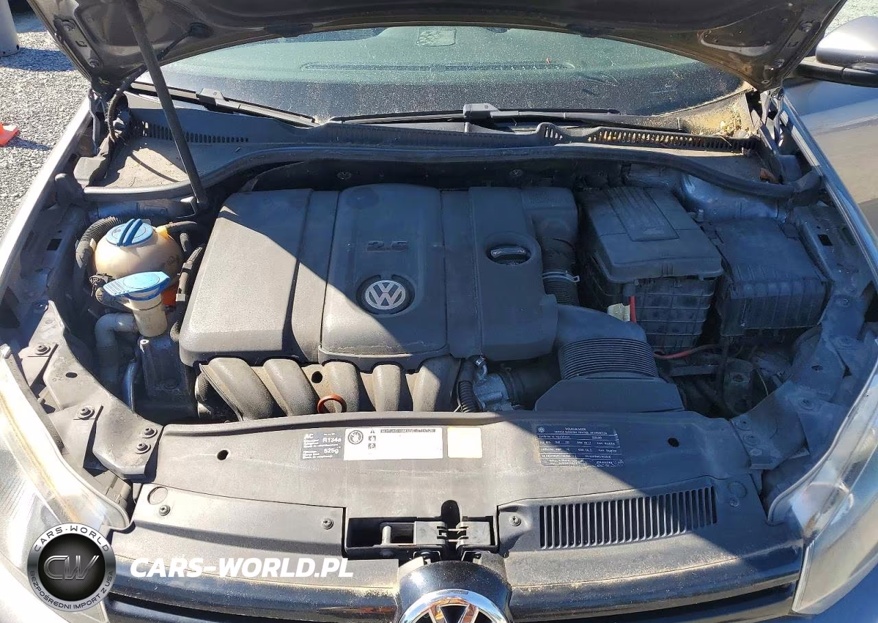 2010 Volkswagen Golf VIN:WVWBB7AJ0AW126313 - 12
