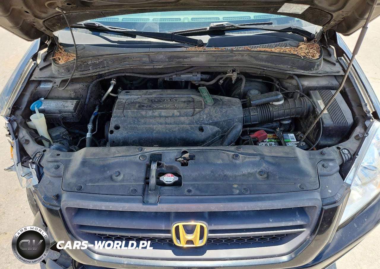 2004 Honda Pilot Exl VIN:2HKYF18524H508146 - 12