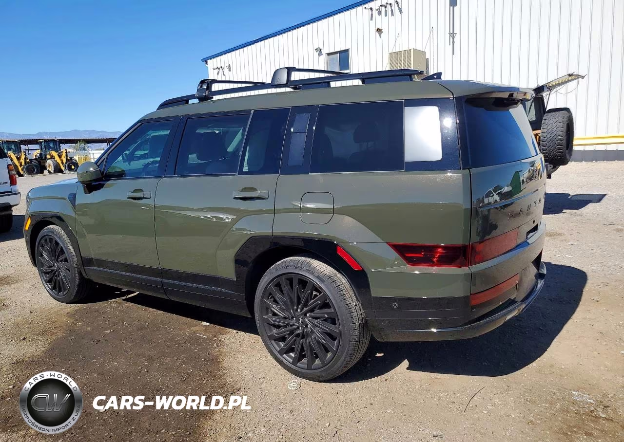 2025 Hyundai Santa Fe Calligraphy VIN:5NMP5DGL3SH114777 - 2