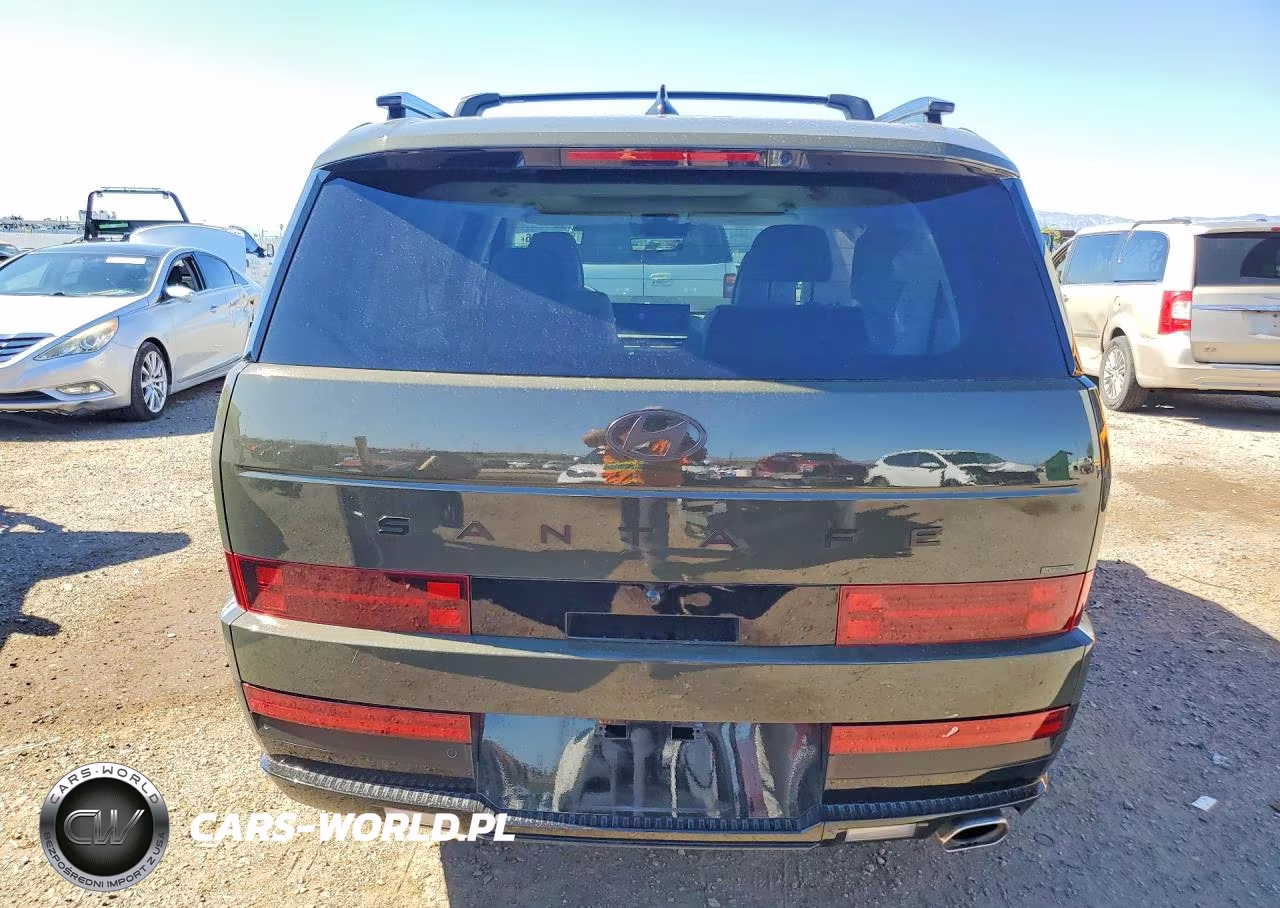 2025 Hyundai Santa Fe Calligraphy VIN:5NMP5DGL3SH114777 - 6