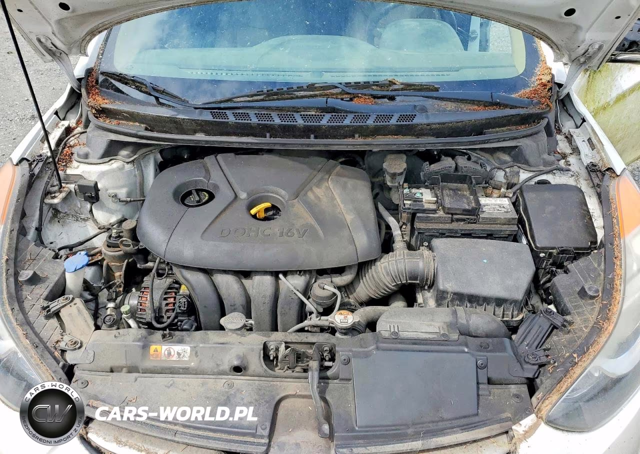2013 Hyundai Elantra Limited VIN:5NPDH4AEXDH215941 - 11