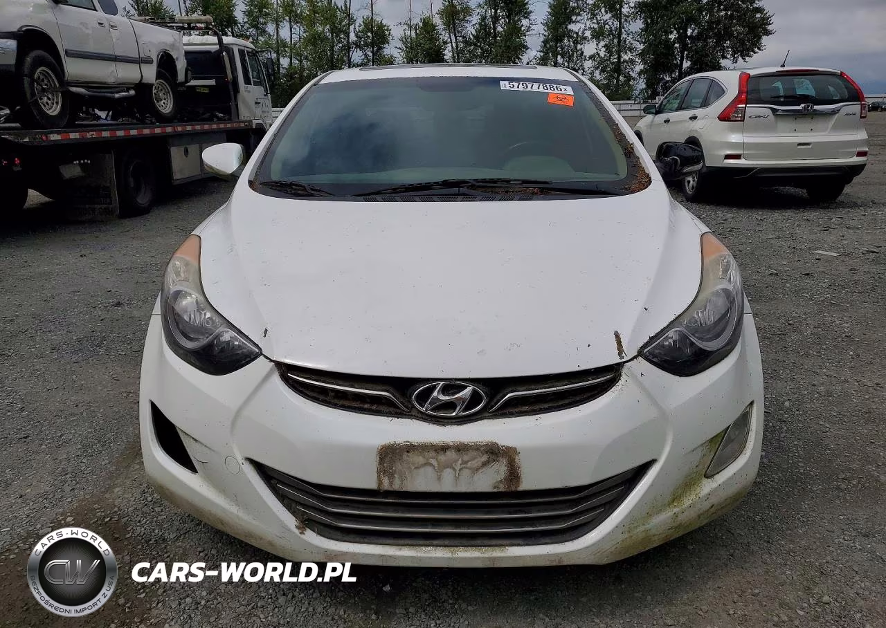2013 Hyundai Elantra Limited VIN:5NPDH4AEXDH215941 - 5