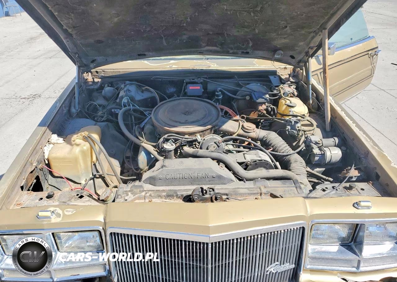 1980 Buick Riviera VIN:4Z57RAE412771 - 11