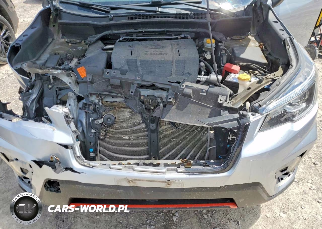 2019 Subaru Forester Sport VIN:JF2SKAJC0KH418131 - 12