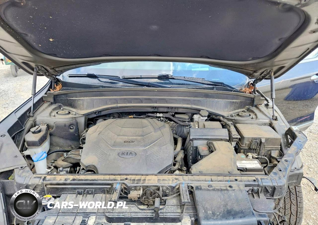 2020 Kia Telluride Sx VIN:5XYP5DHC7LG064301 - 12