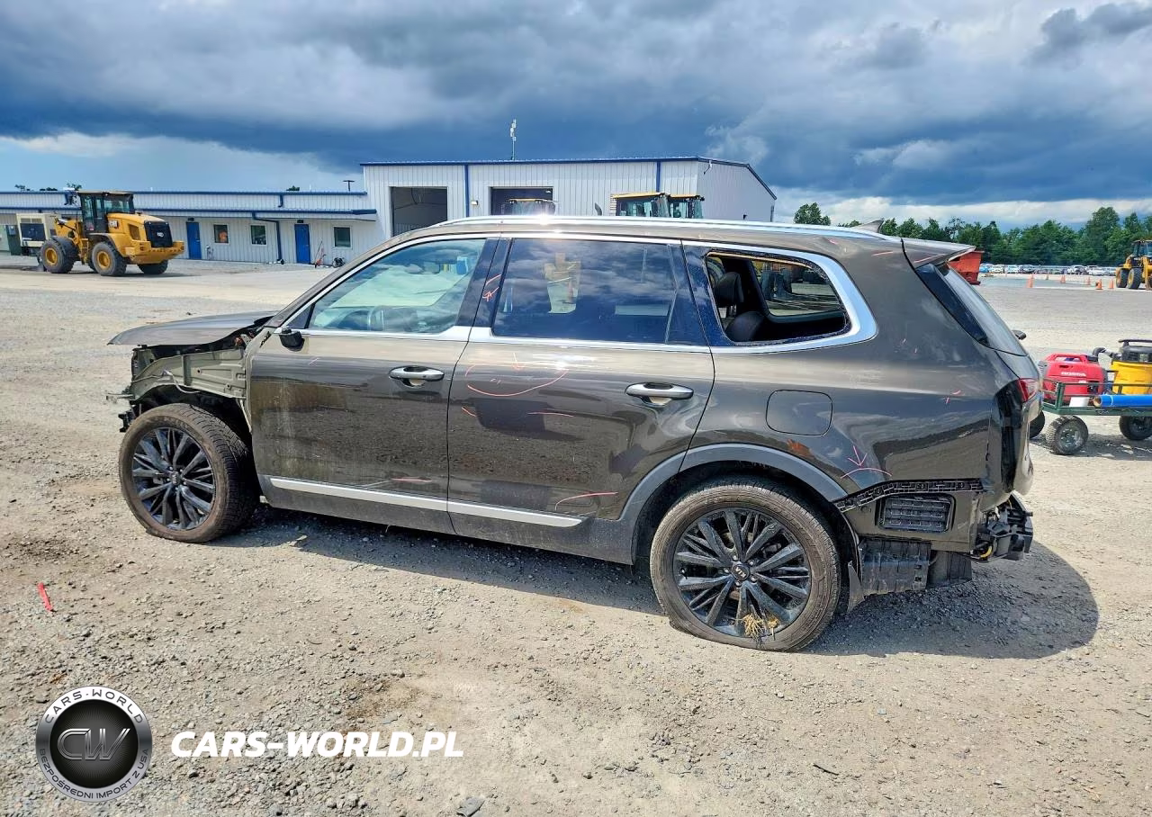2020 Kia Telluride Sx VIN:5XYP5DHC7LG064301 - 2