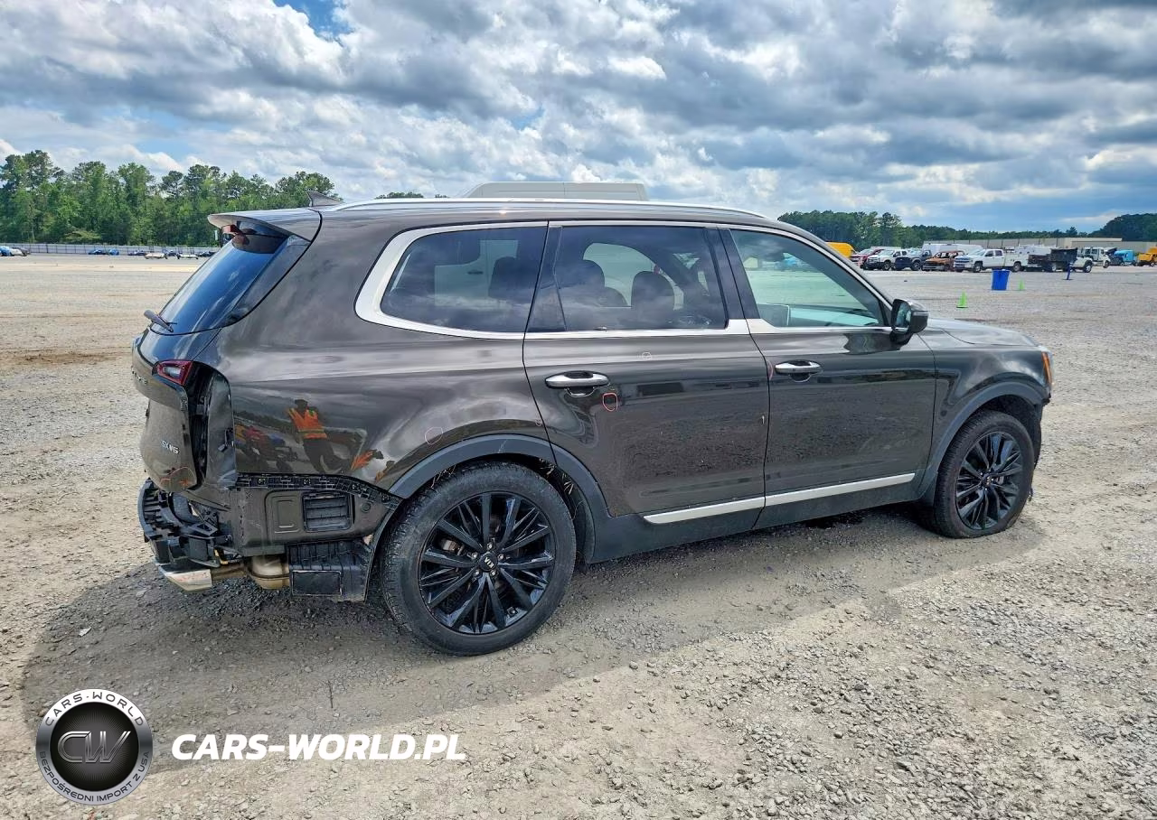 2020 Kia Telluride Sx VIN:5XYP5DHC7LG064301 - 3