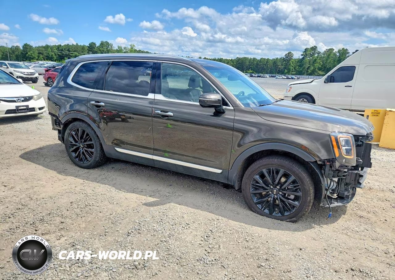 2020 Kia Telluride Sx VIN:5XYP5DHC7LG064301 - 4