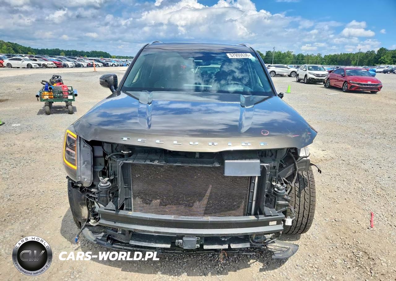 2020 Kia Telluride Sx VIN:5XYP5DHC7LG064301 - 5