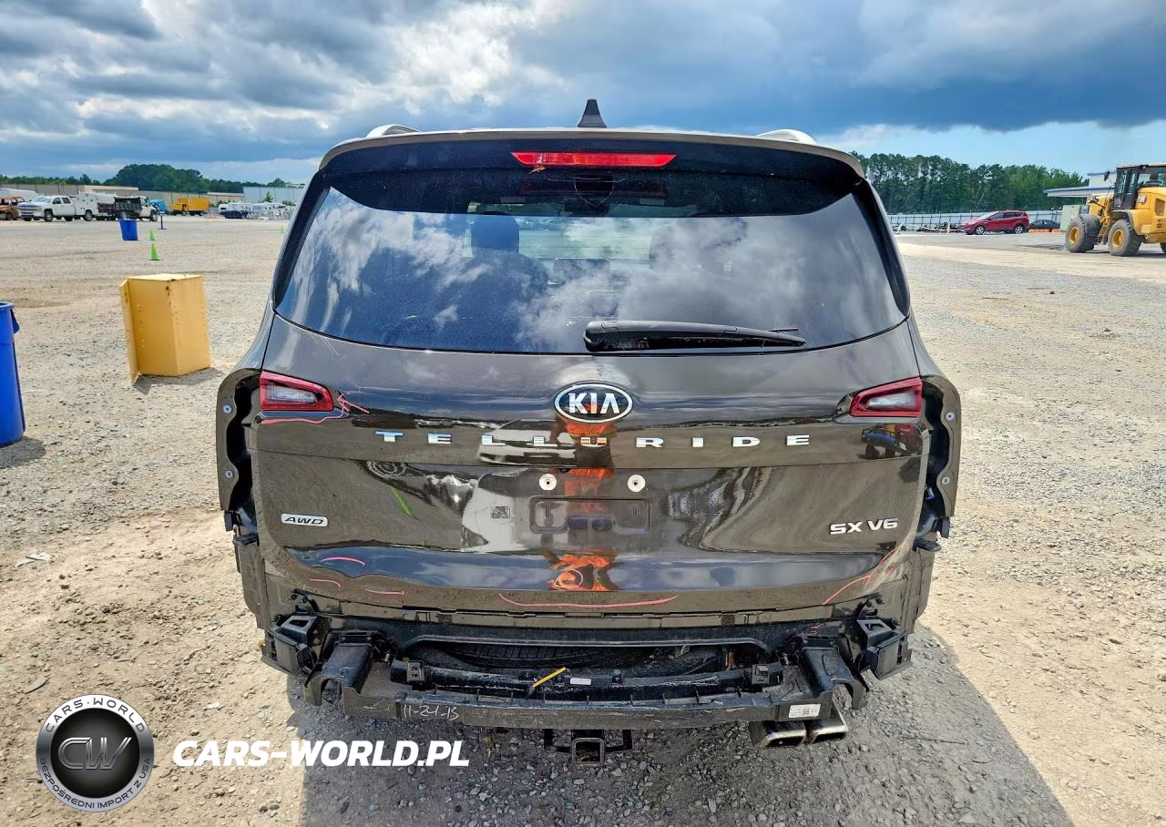 2020 Kia Telluride Sx VIN:5XYP5DHC7LG064301 - 6