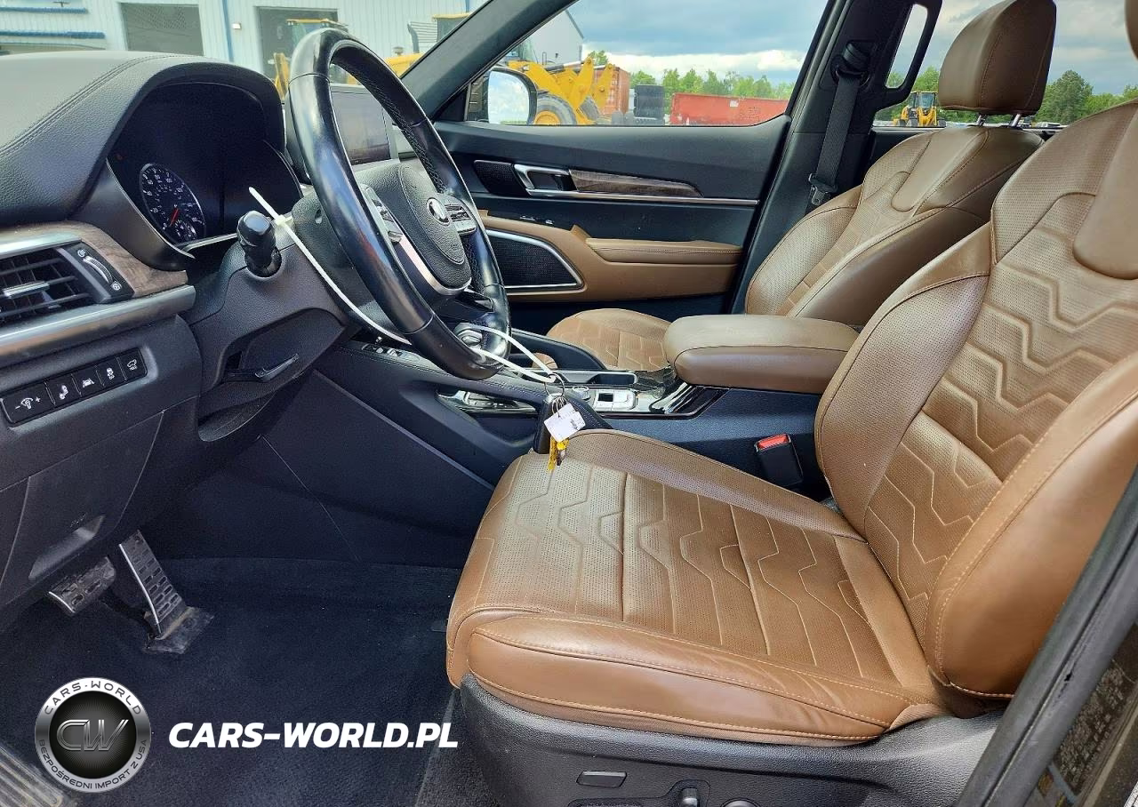 2020 Kia Telluride Sx VIN:5XYP5DHC7LG064301 - 7