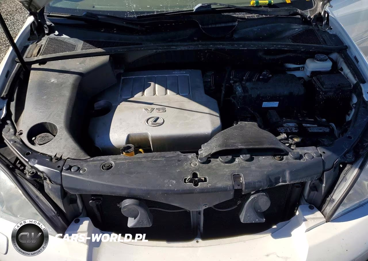 2009 Lexus Rx 350 VIN:2T2GK31U59C073214 - 12