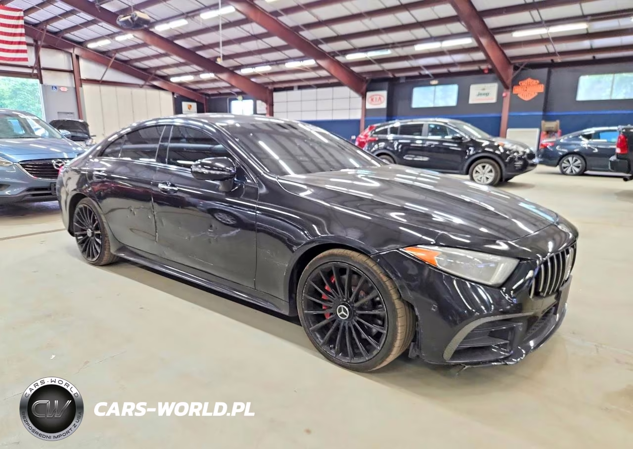 2020 Mercedes-Benz Cls Amg 53 4Matic VIN:WDD2J6BB2LA050779 - 4