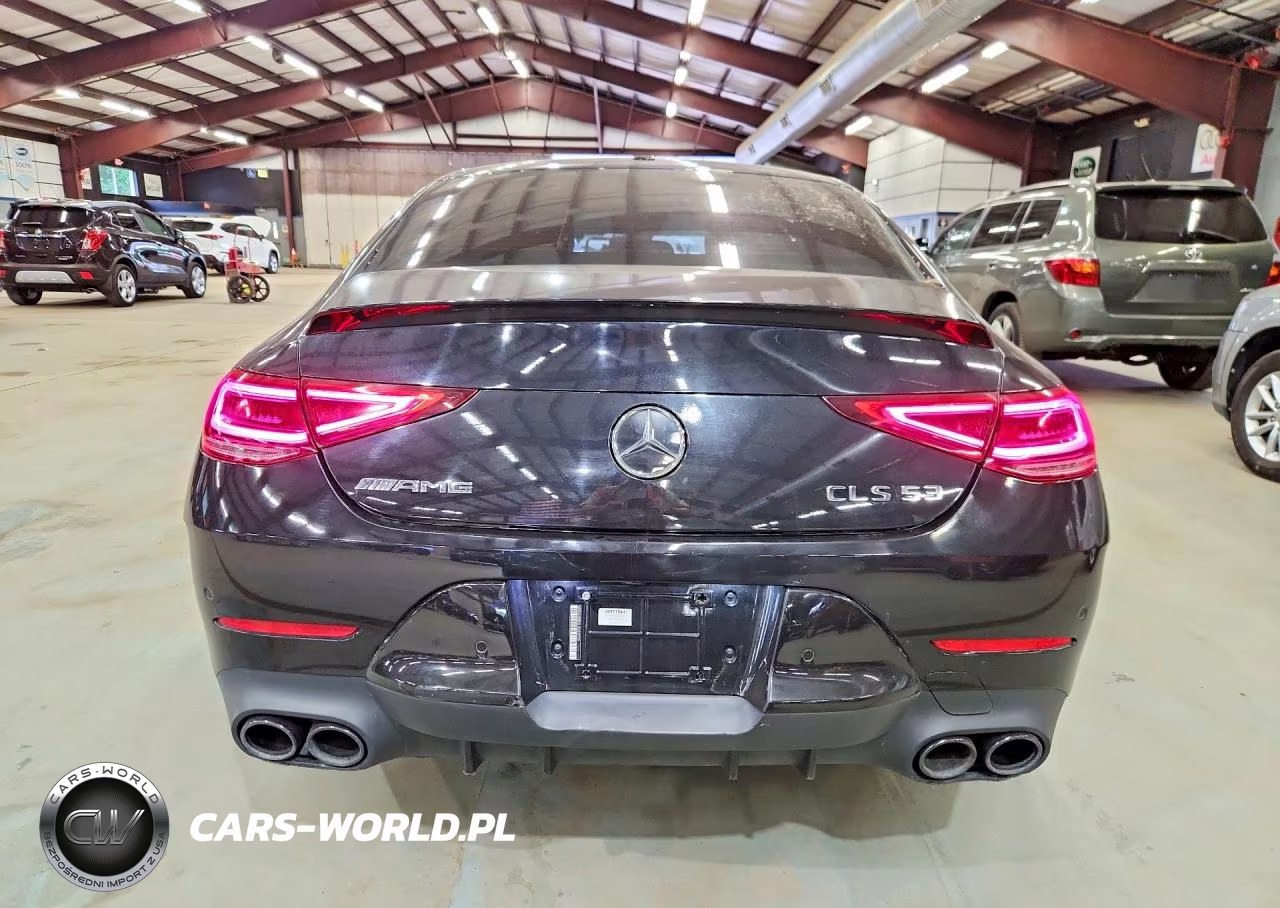 2020 Mercedes-Benz Cls Amg 53 4Matic VIN:WDD2J6BB2LA050779 - 6