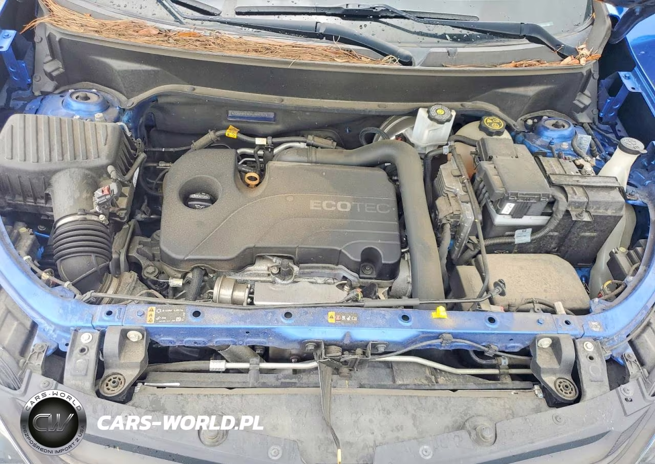 2019 Chevrolet Equinox Ls VIN:3GNAXHEV0KS554967 - 11