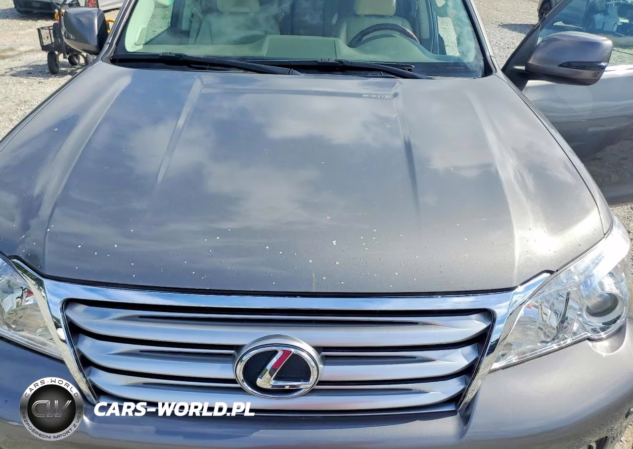 2010 Lexus Gx 460 VIN:JTJBM7FXXA5011986 - 11