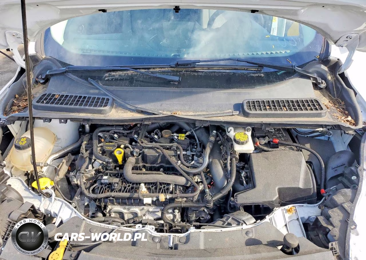 2019 Ford Escape VIN:1FMCU0GD3KUB65252 - 12
